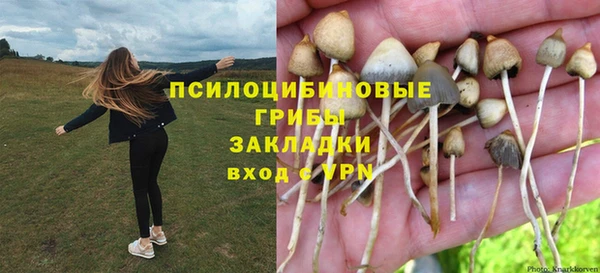 COCAINE Абаза