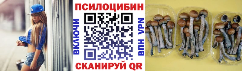 Псилоцибиновые грибы MAGIC MUSHROOMS  даркнет наркотические препараты  Сафоново 