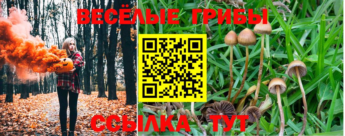 Сафоново  Галлюциногенные грибы Psilocybe  Галлюциногенные грибы Psilocybine cubensis  Вход с VPN 