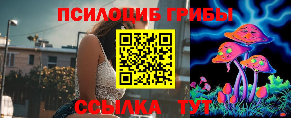Галлюциногенные грибы Psilocybe Сафоново